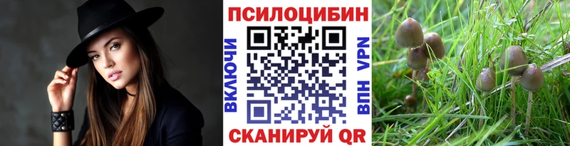 Купить  Сочи  Псилоцибиновые грибы ЛСД 